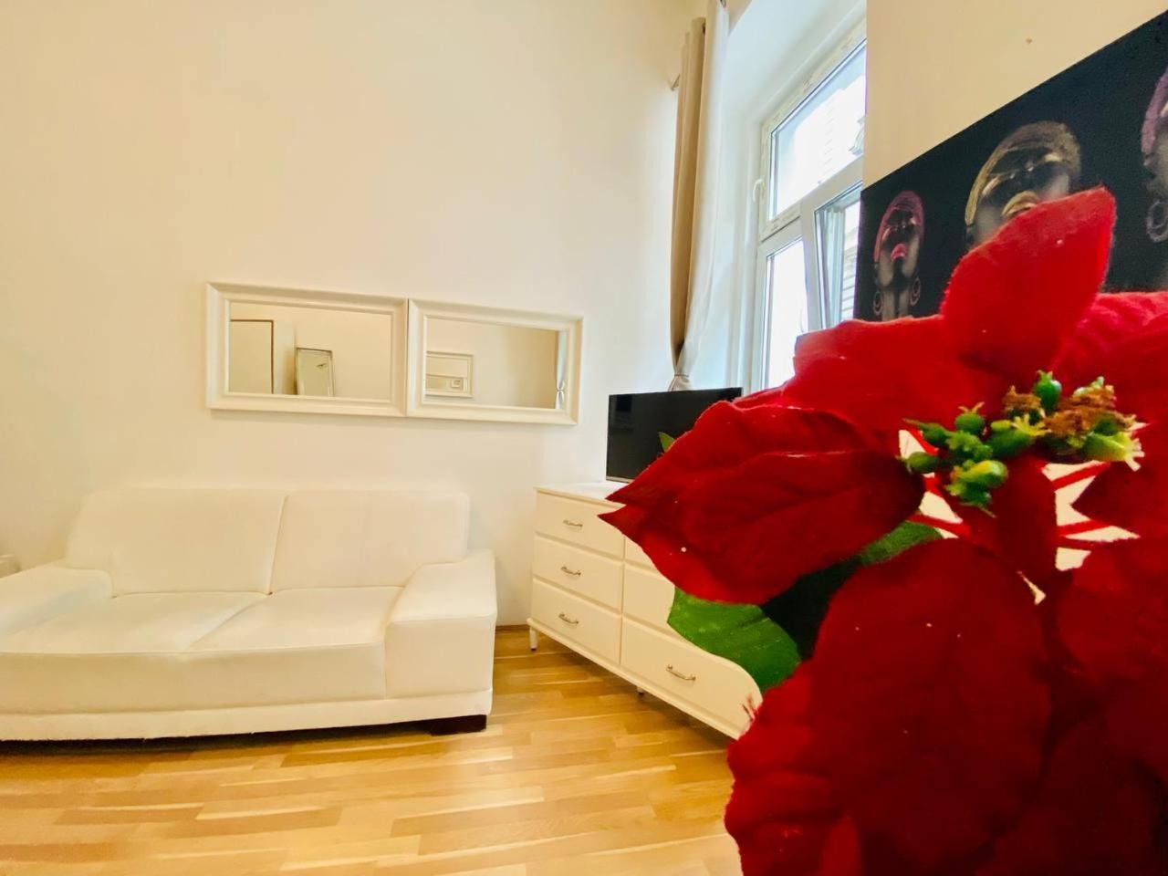 Cozy Studio Lg Apartment Vienna Exterior photo