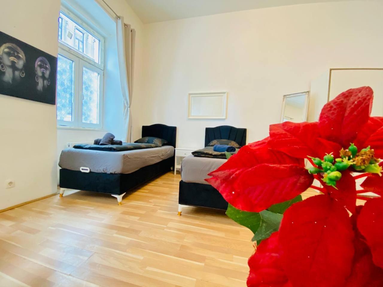 Cozy Studio Lg Apartment Vienna Exterior photo